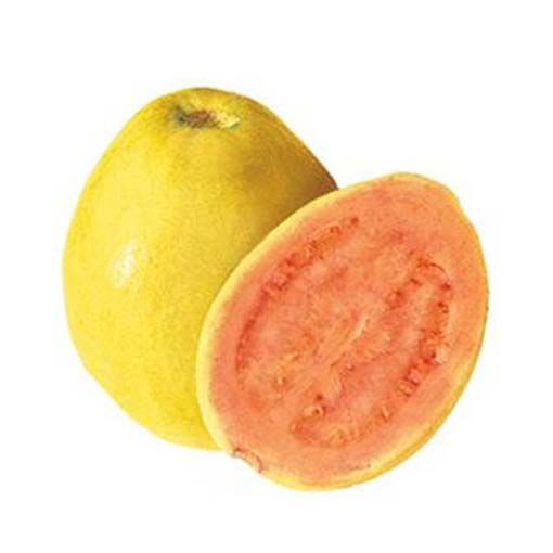 Gujawa, gruszla, gwajawa, gojawa jadalna